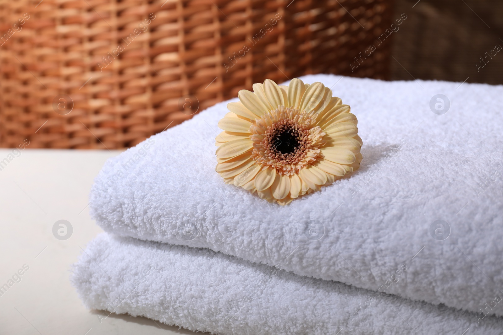 Photo of Stacked terry towels and flower on white table, closeup. Space for text