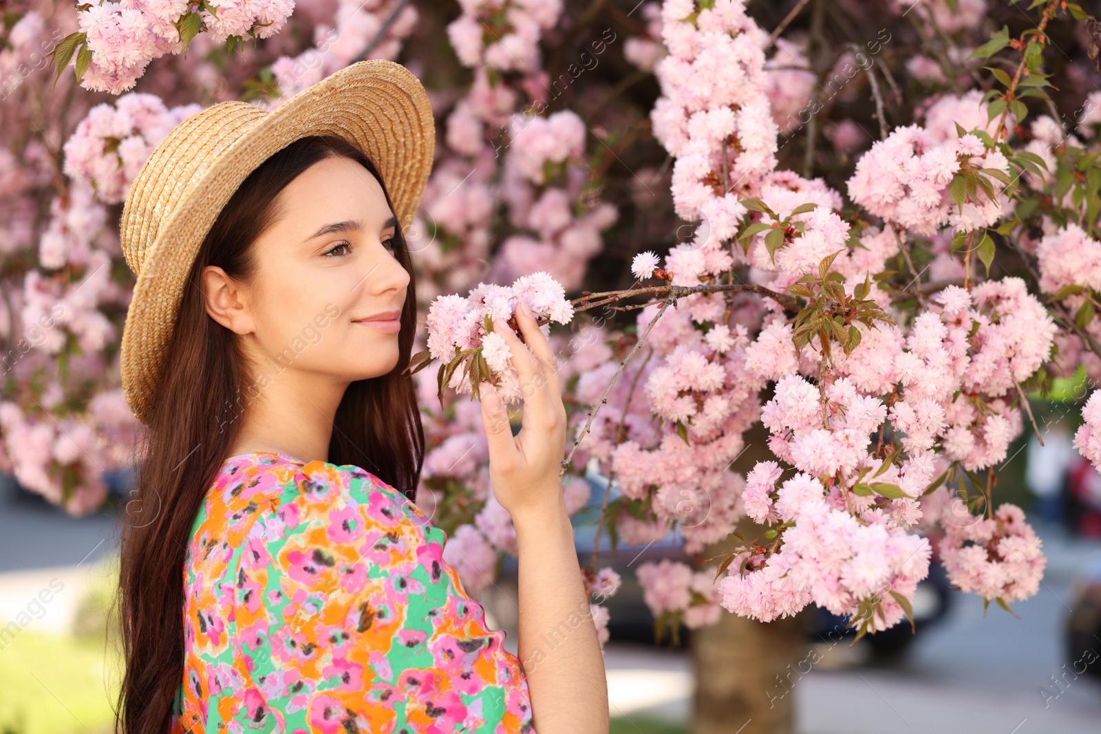 Photo of Beautiful woman in straw hat near blossoming tree on spring day