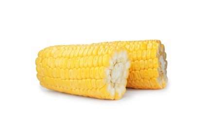 Pieces of fresh corncob on white background