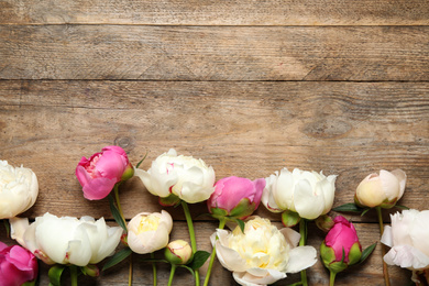 Beautiful peonies on wooden background, flat lay. Space for text