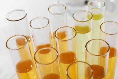 Photo of Tubes with urine samples for analysis on blurred background, closeup