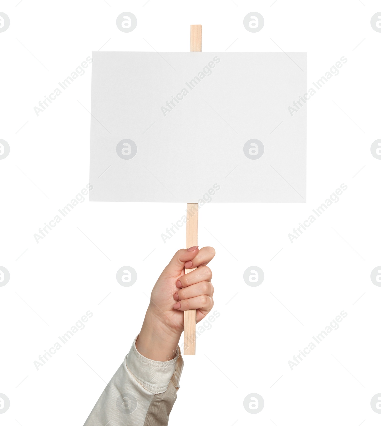 Photo of Woman holding blank protest sign on white background, closeup