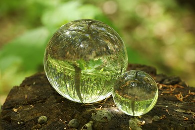 Green trees outdoors, overturned reflection. Crystal balls on stump in forest