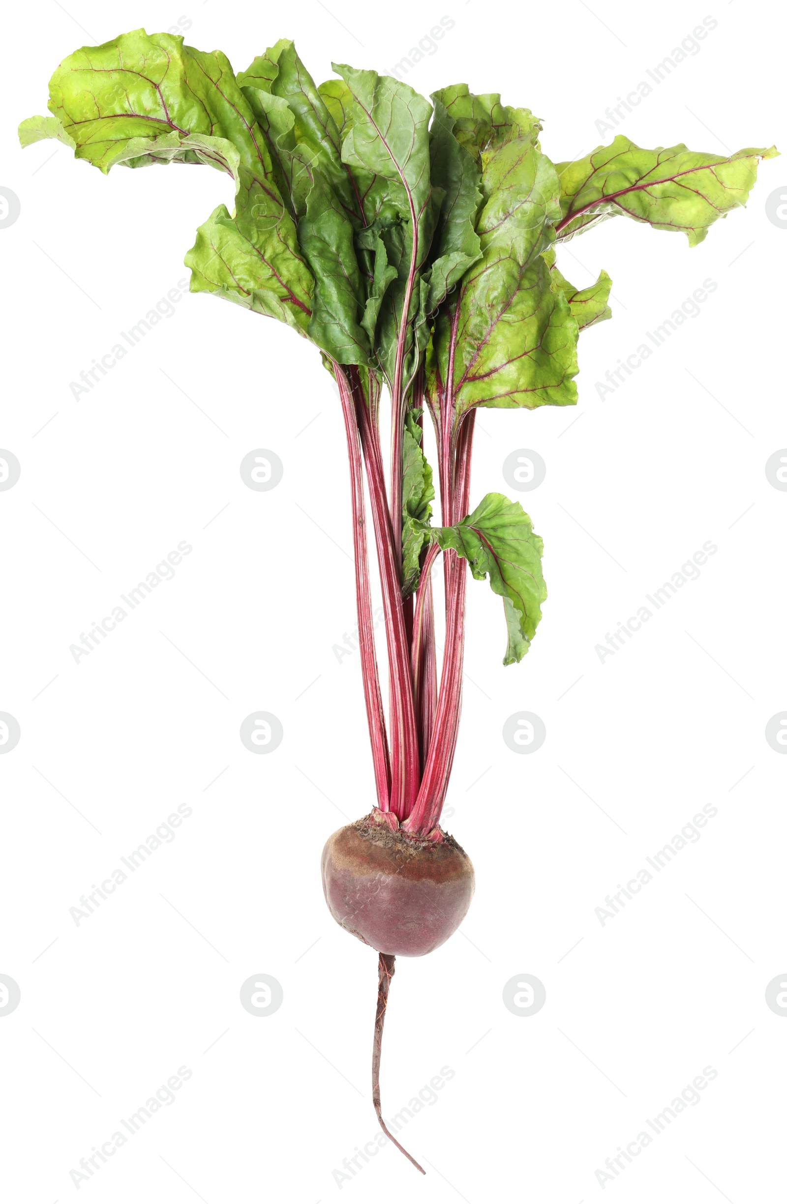 Photo of Raw ripe beet with leaves isolated on white