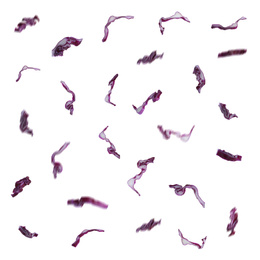 Image of Set  with falling fresh pieces of red cabbage on white background