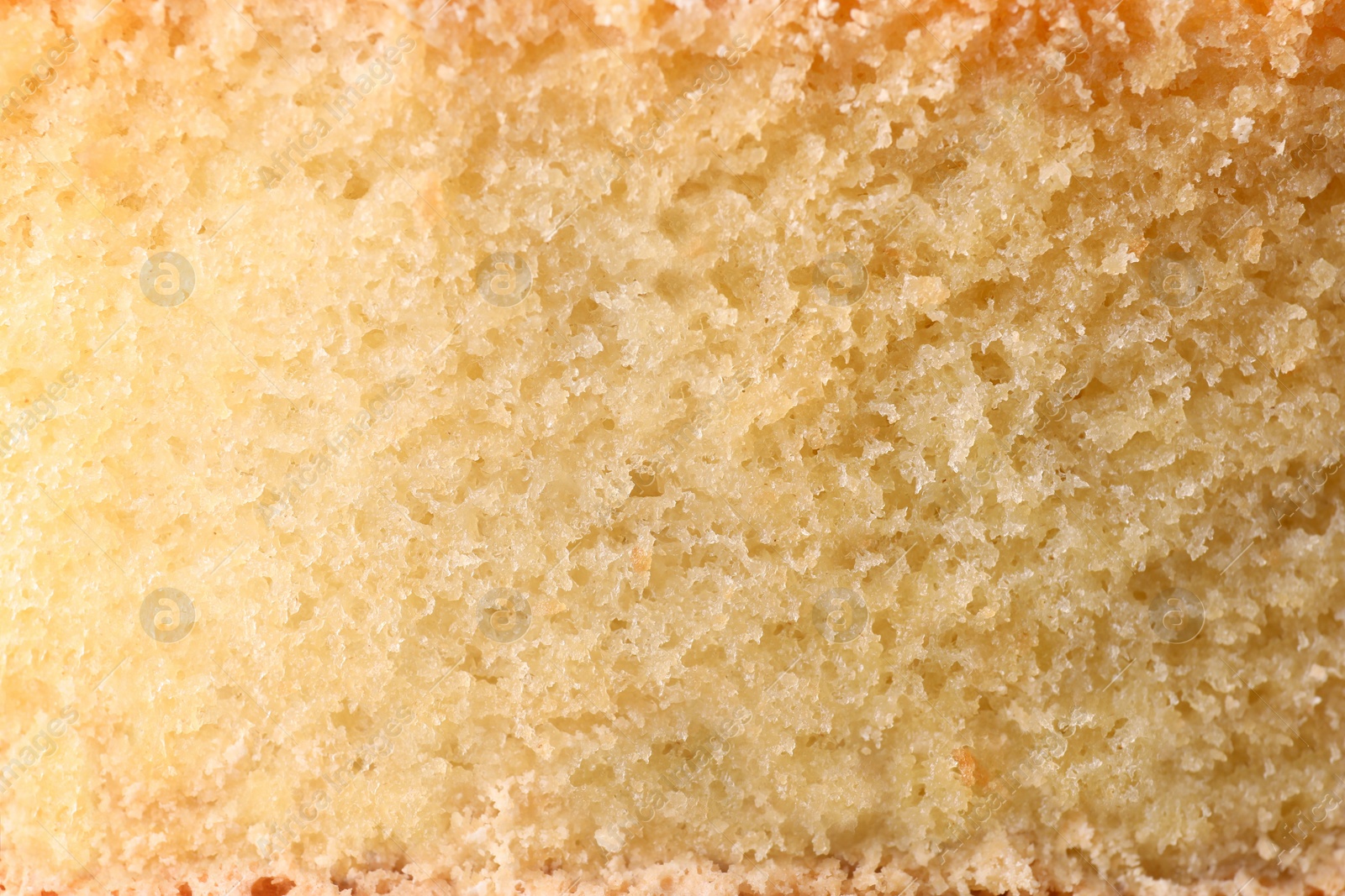 Photo of Texture of delicious sponge cake as background, closeup