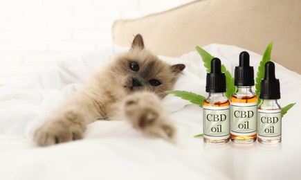 Image of Bottles of CBD oil and cute cat relaxing on bed 
