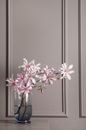 Photo of Magnolia tree branches with beautiful flowers in glass vase on table against grey background