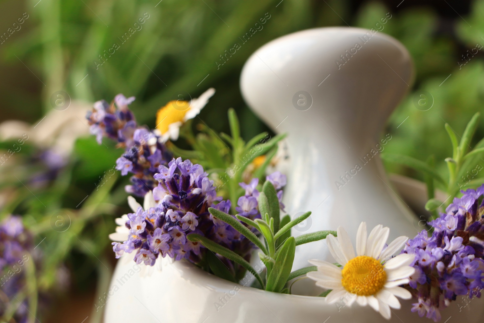 Photo of Mortar with fresh lavender, chamomile flowers, rosemary and pestle on blurred background, closeup