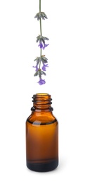 Dripping essential oil from lavender flower into bottle isolated on white