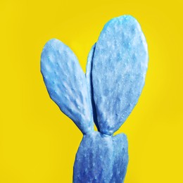 Blue cactus on yellow background. Creative design