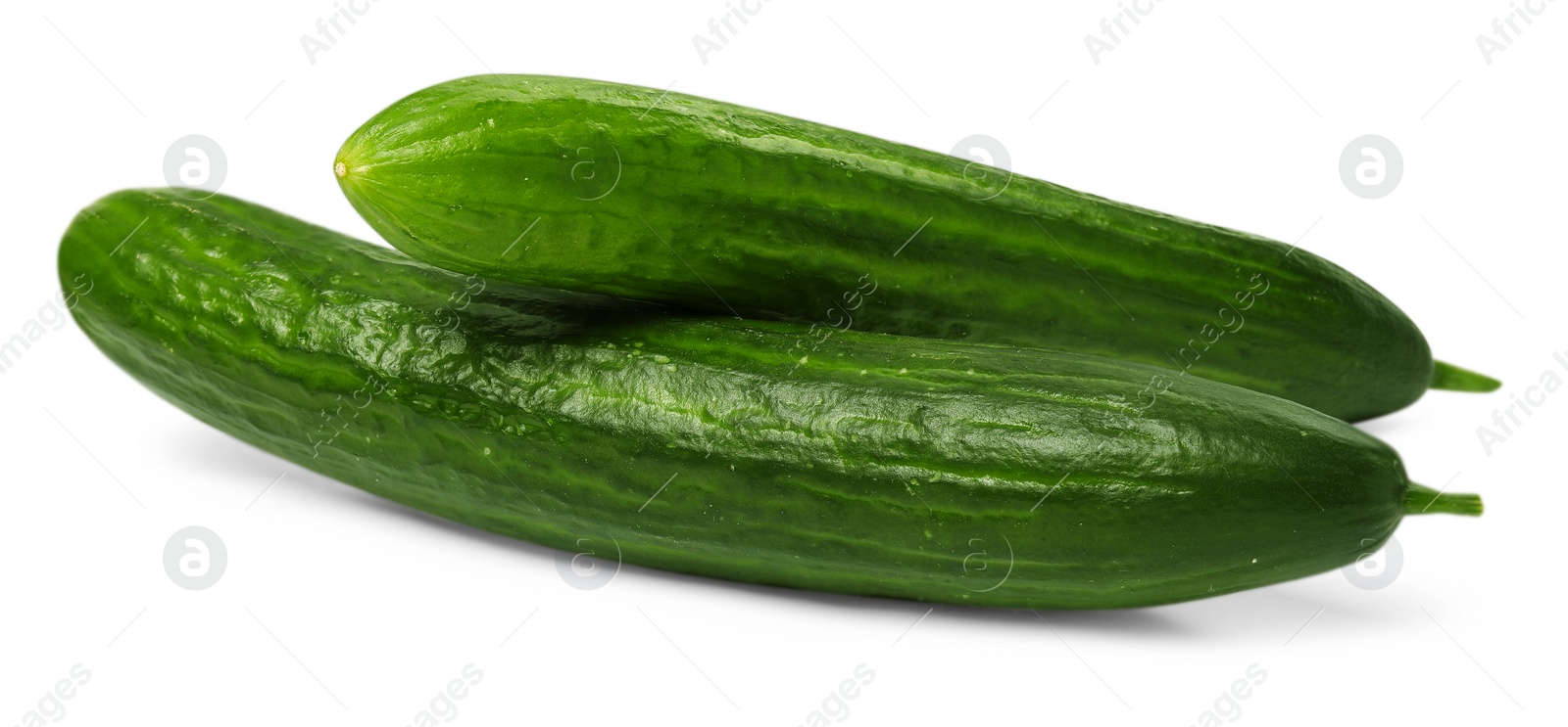 Photo of Two long fresh cucumbers isolated on white