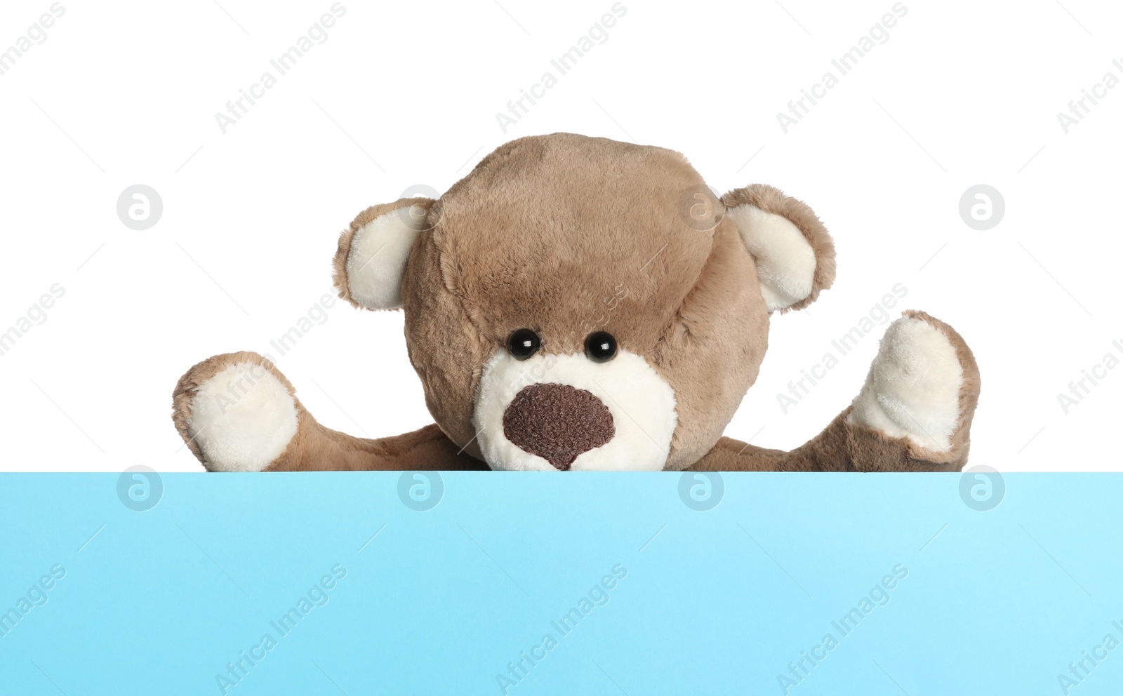 Photo of Cute teddy bear standing behind blank card isolated on white, space for text