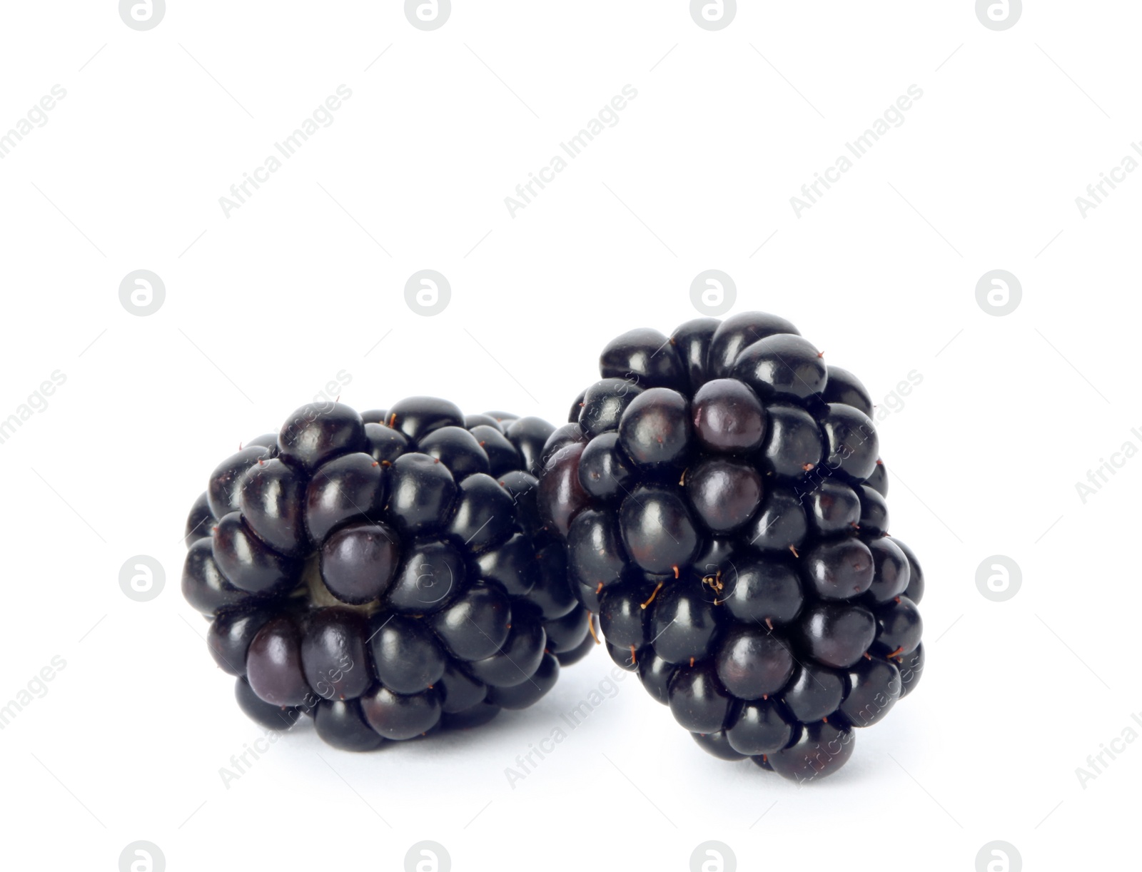 Photo of Fresh ripe juicy blackberries on white background