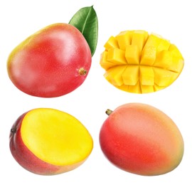 Image of Set with delicious ripe mangos on white background