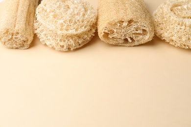 Photo of Natural shower loofah sponges on beige background. Space for text