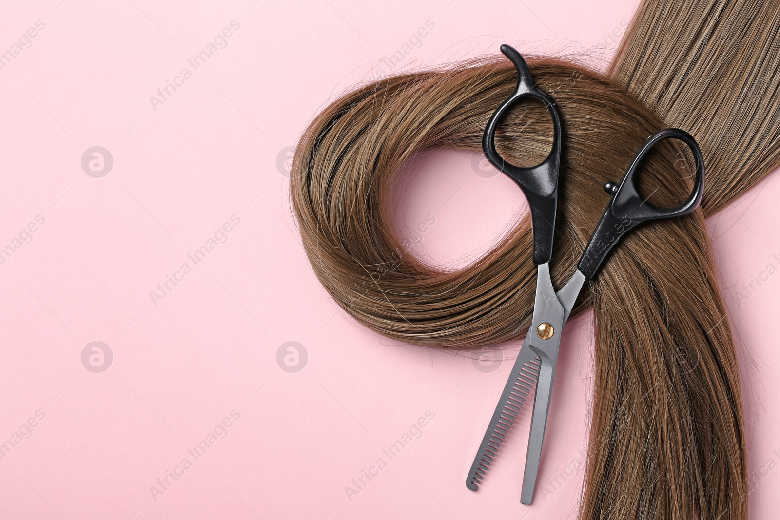 Photo of Flat lay composition with brown hair, thinning scissors and space for text on color background. Hairdresser service