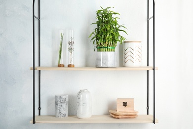 Photo of Shelves with green lucky bamboo in pot and decor on light wall