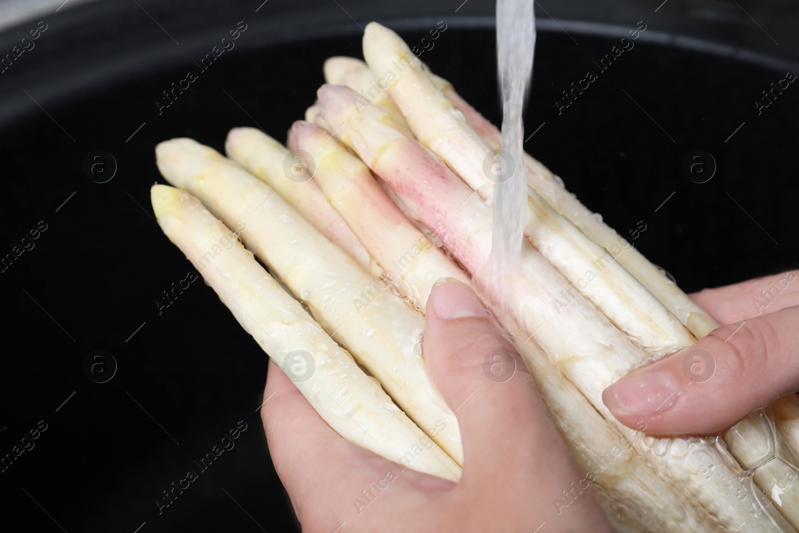 Photo of Woman washing fresh white asparagus over sink, closeup