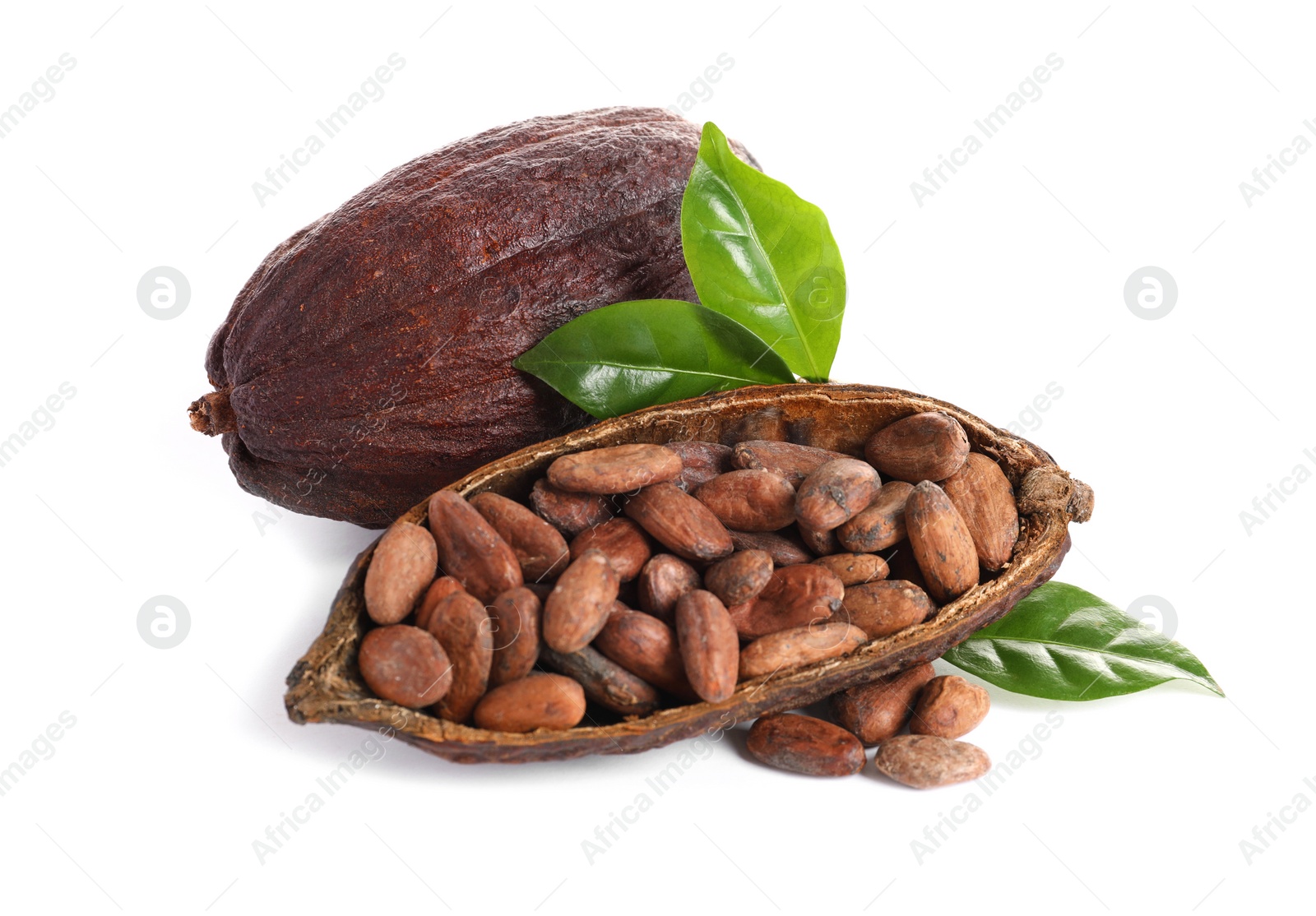 Photo of Composition with cocoa beans on white background