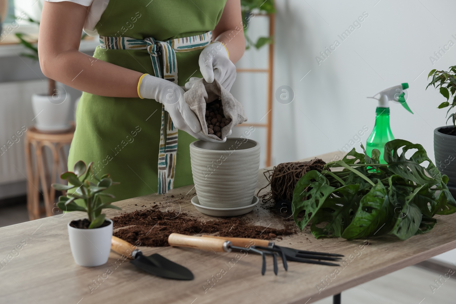 Photo of Woman filling flowerpot with drainage at table indoors, closeup. Houseplant care