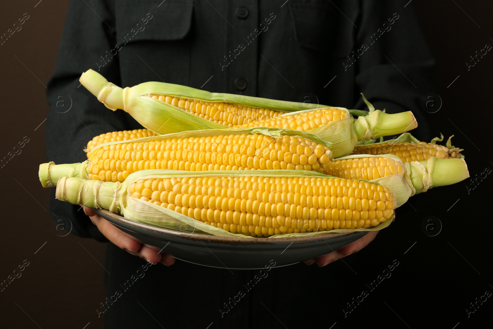 Photo of Woman holding tasty fresh corn cobs on brown background, closeup