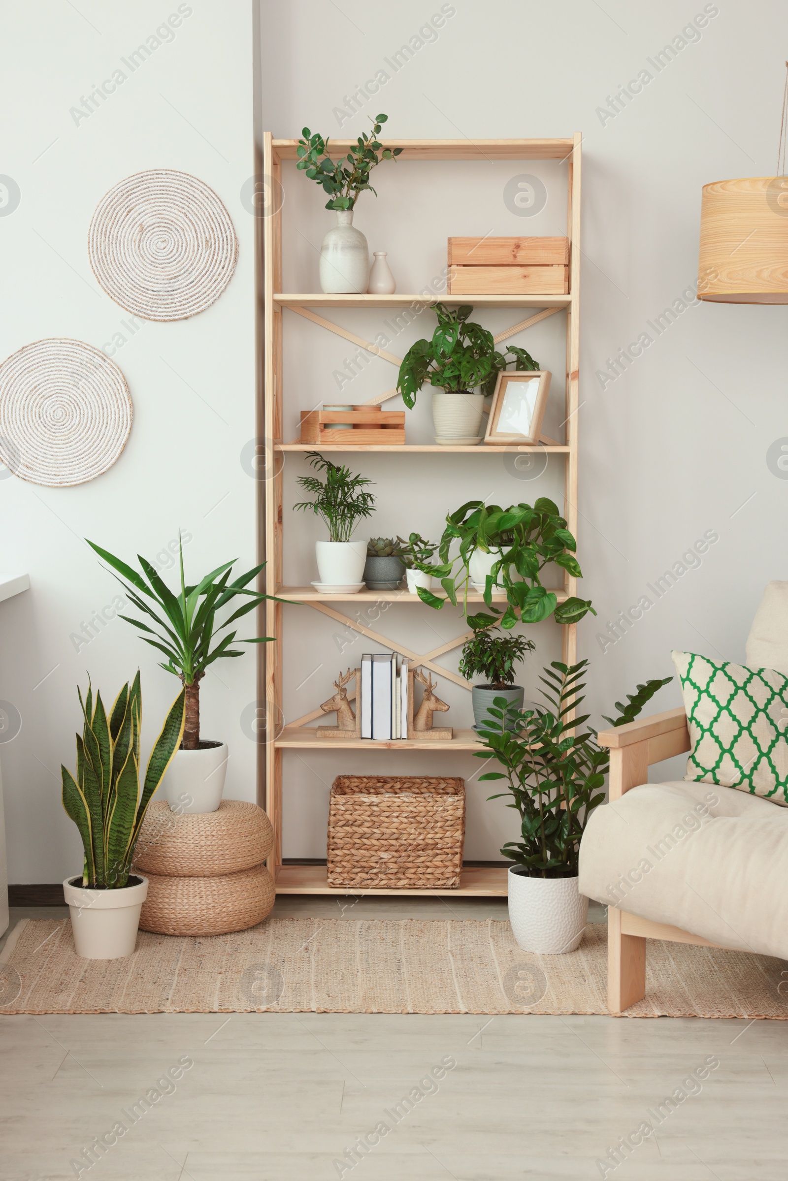 Photo of Stylish room interior with beautiful house plants. Home design idea