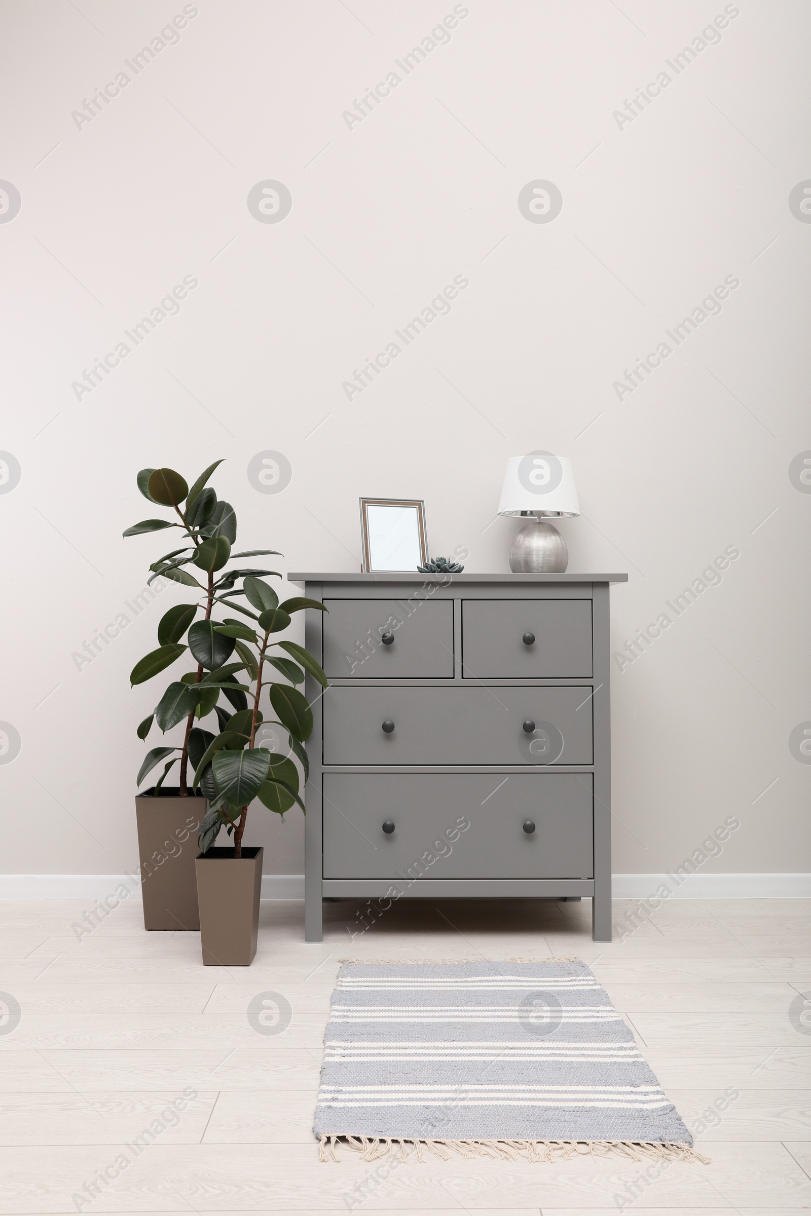 Photo of Stylish room interior with grey rug, chest of drawers and plants