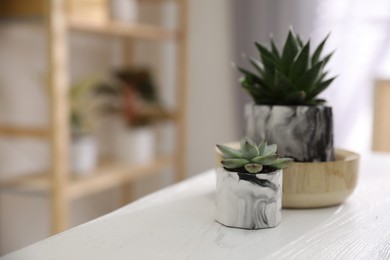 Beautiful potted succulents on white wooden table indoors. Space for text