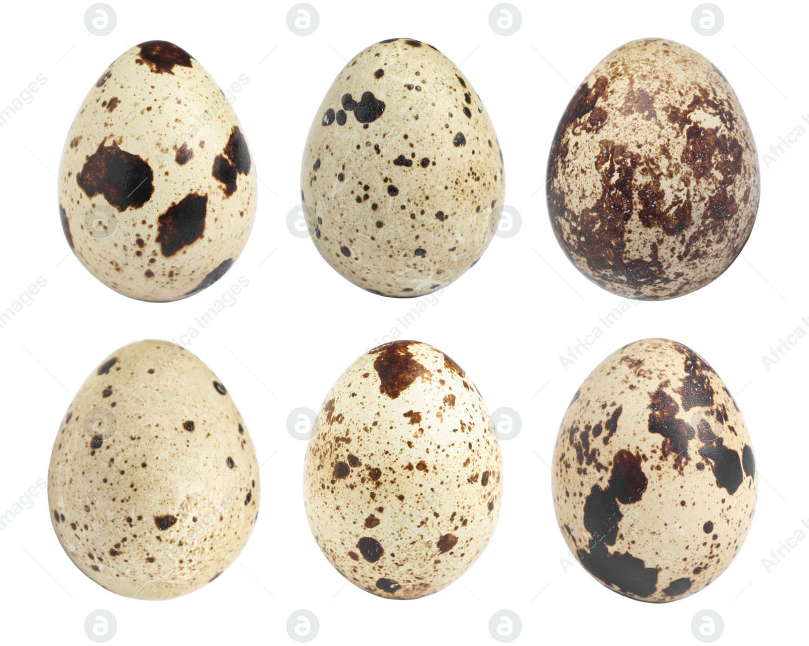 Image of Set with quail eggs on white background