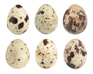 Image of Set with quail eggs on white background