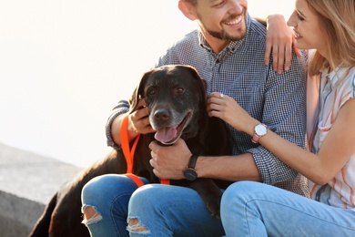 Cute brown labrador retriever with owners outdoors