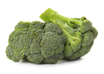 Photo of Broccoli on white background. Types of cabbage