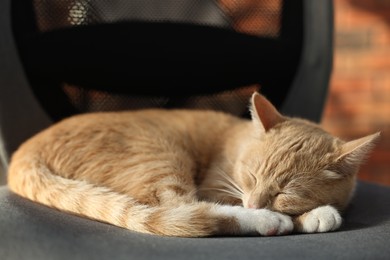 Photo of Cute ginger cat sleeping on sofa at home