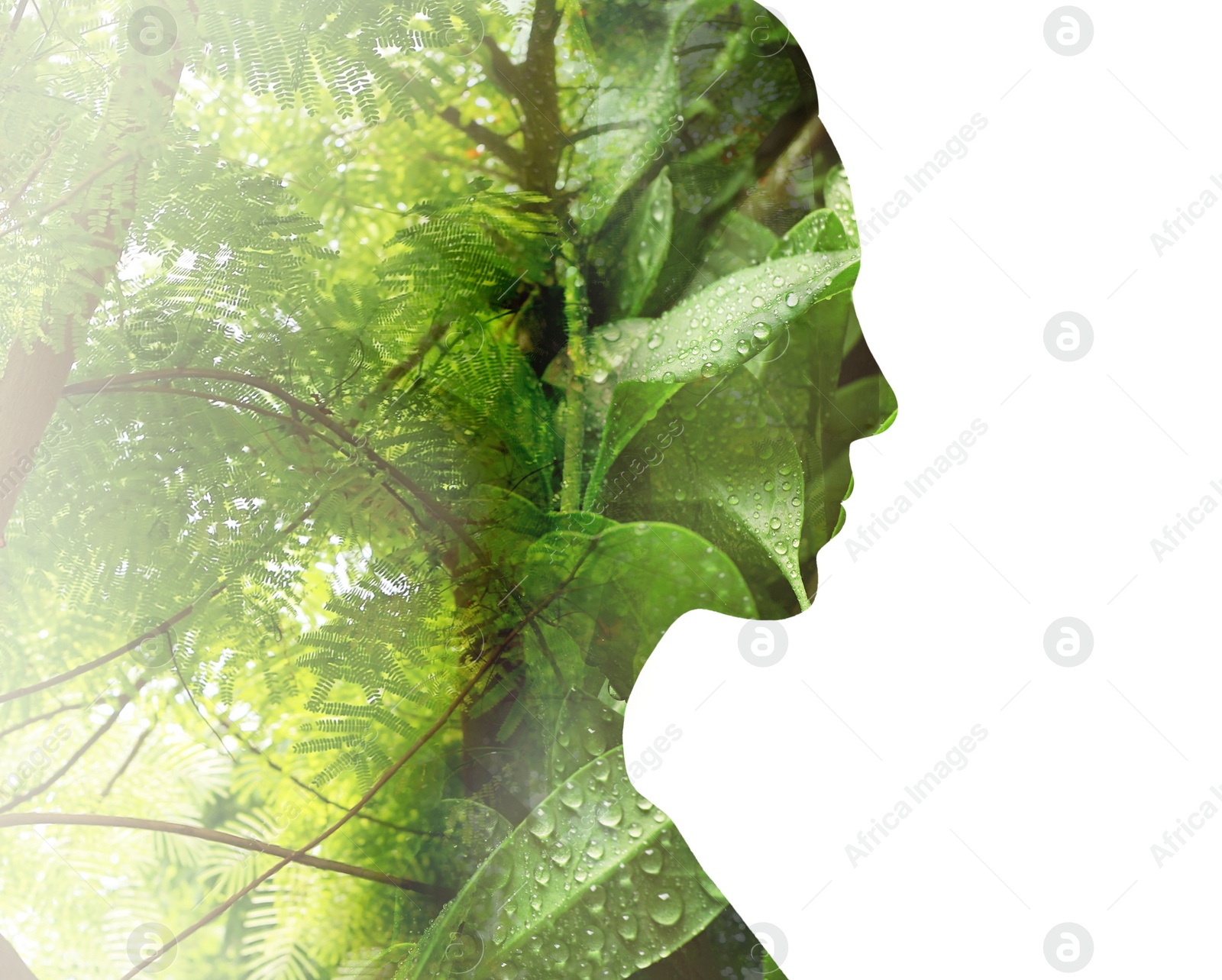 Image of Woman and tropical plants on white background. Double exposure