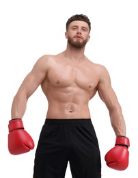 Photo of Man in boxing gloves on white background, low angle view
