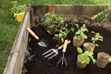 Photo of Seedlings in containers and gardening tools on ground outdoors