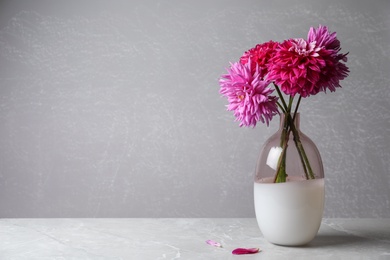 Photo of Beautiful dahlia flowers in vase on table against grey background. Space for text
