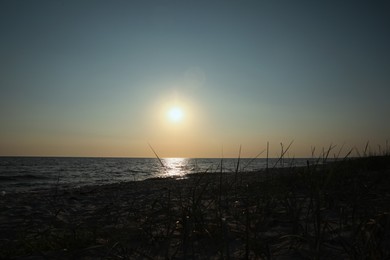 Photo of Picturesque view of beautiful beach at sunset