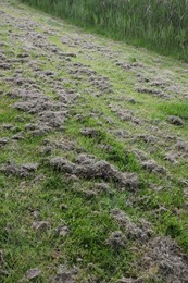 Photo of View of fresh cut green grass outdoors