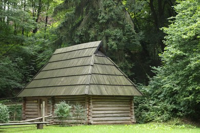 Photo of Old wooden hut in forest on summer day