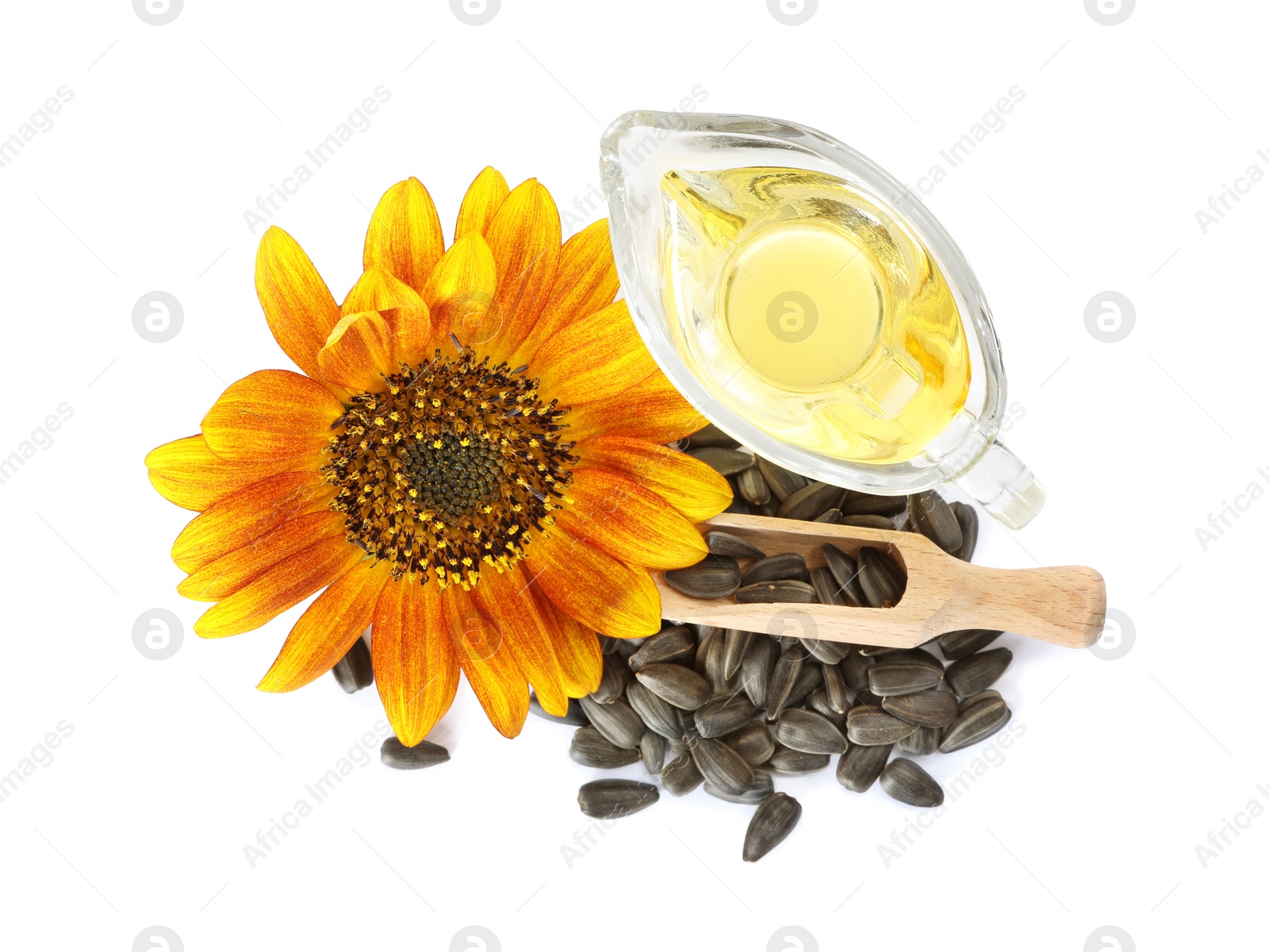 Photo of Sunflower, jug of oil and seeds on white background, top view