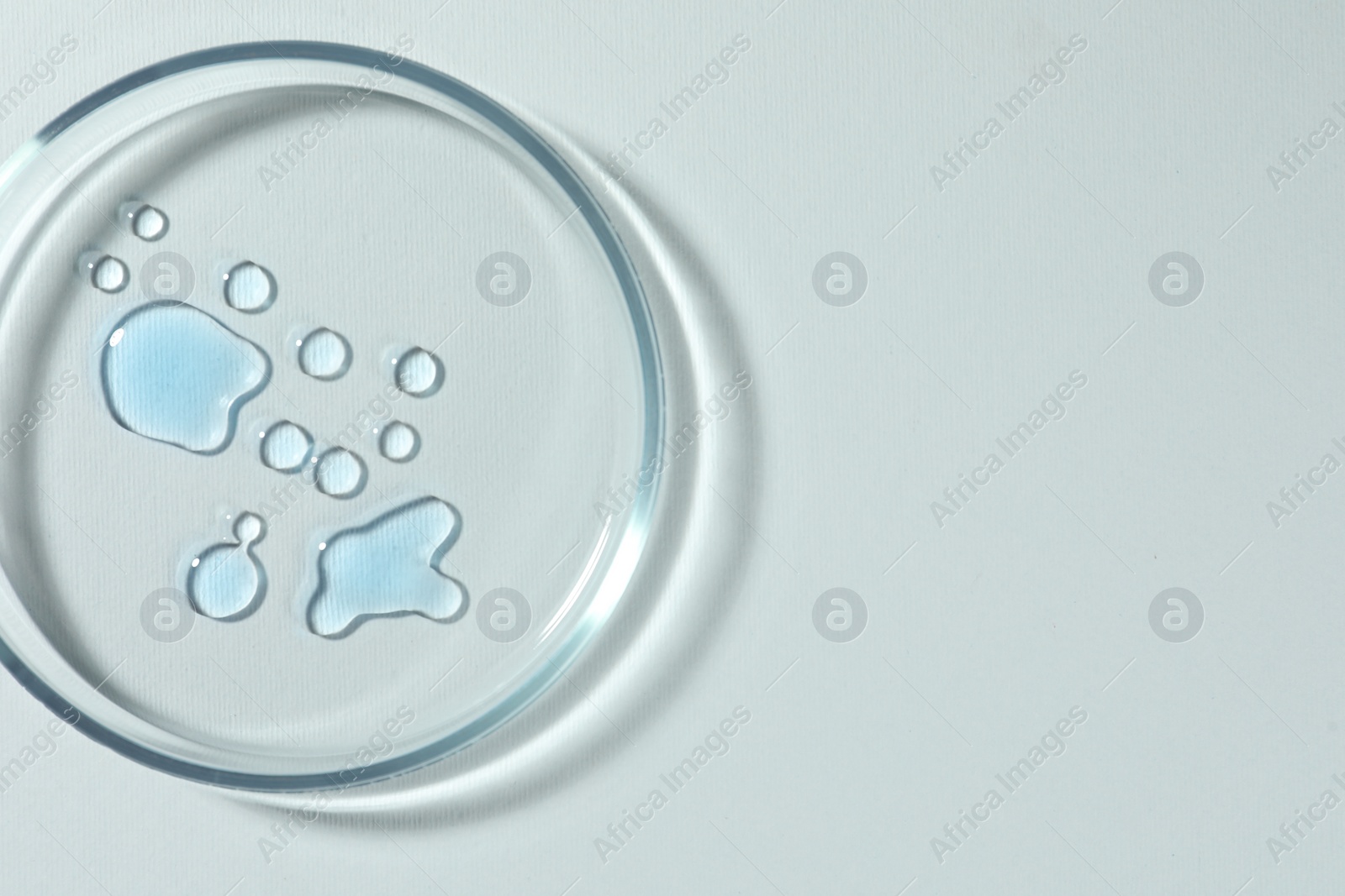 Photo of Petri dish with color liquid on white background, top view. Space for text