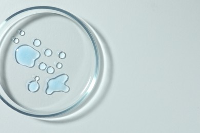 Petri dish with color liquid on white background, top view. Space for text