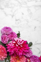 Photo of Beautiful dahlia flowers on white marble background, flat lay. Space for text