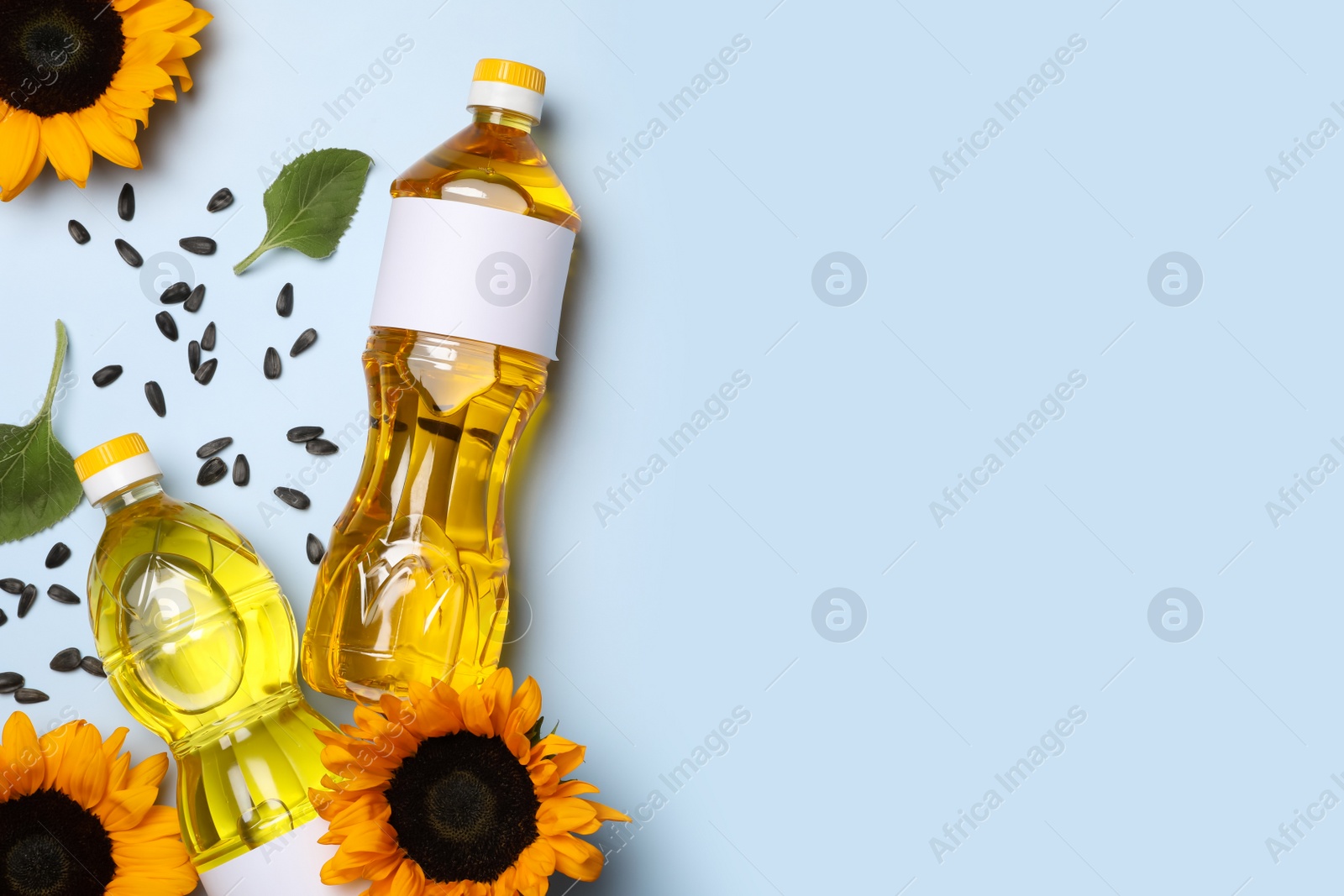 Photo of Bottles of sunflower cooking oil, seeds and beautiful flowers on light background, flat lay. Space for text