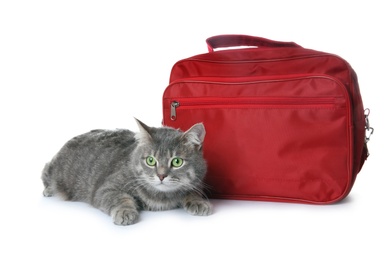 Photo of First aid kit and cute cat on white background. Animal care