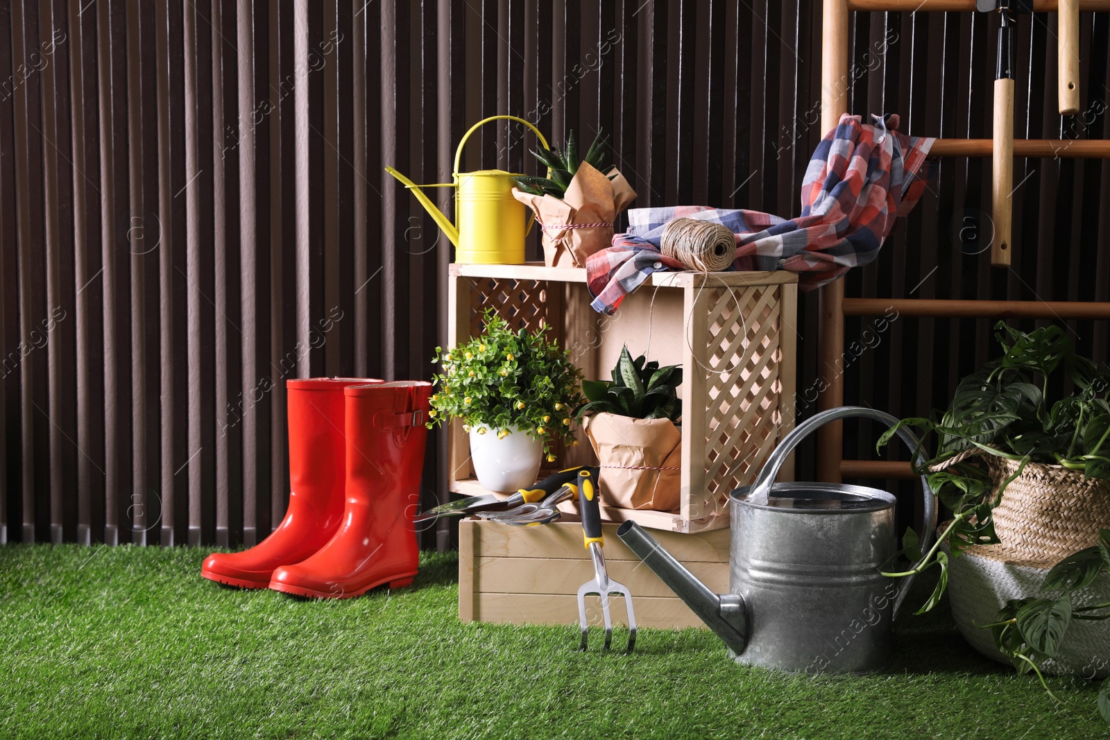 Photo of Beautiful plants, gardening tools and accessories on green grass near wood slat wall