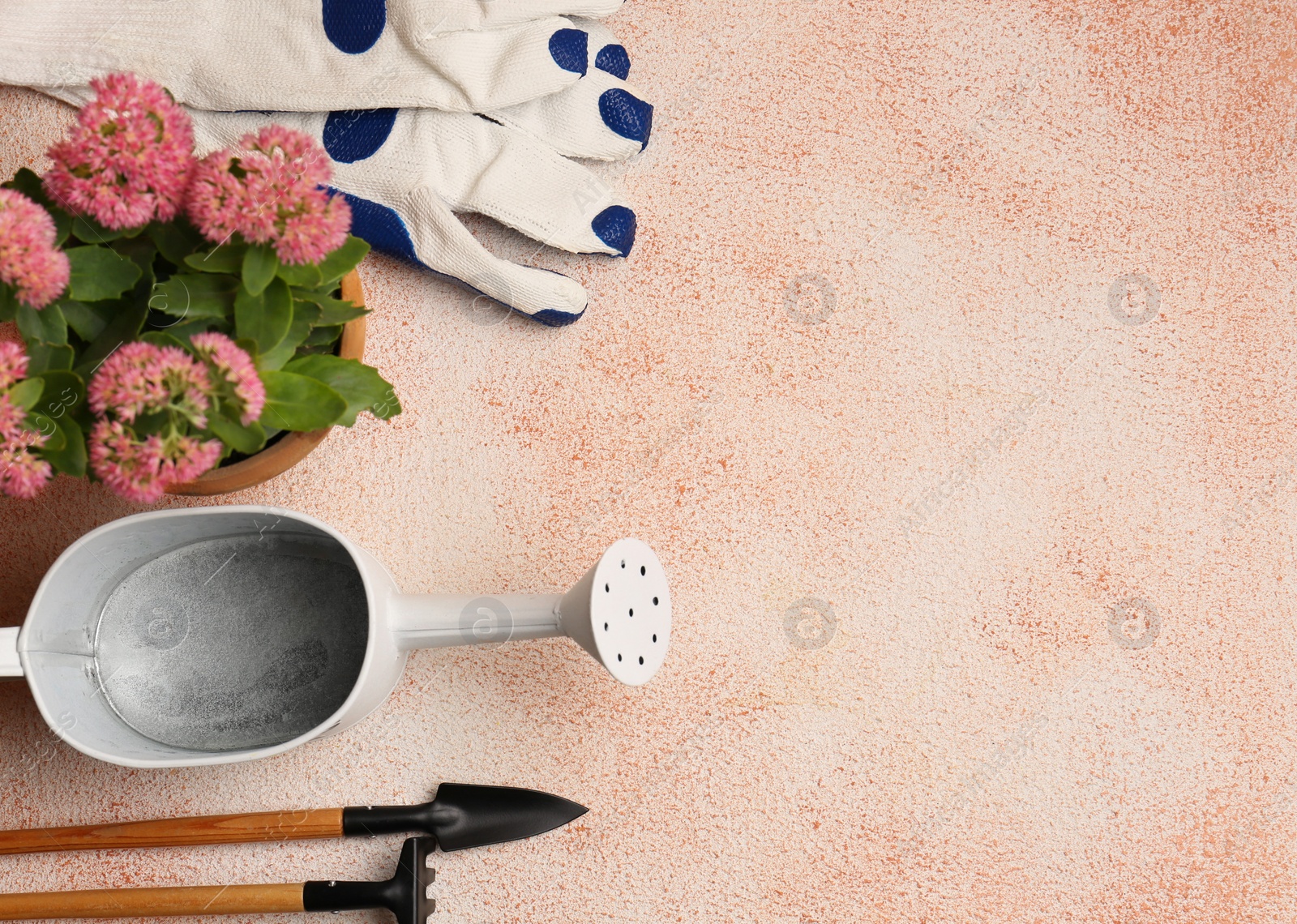 Photo of Flat lay composition with watering can and gardening tools on color textured background. Space for text