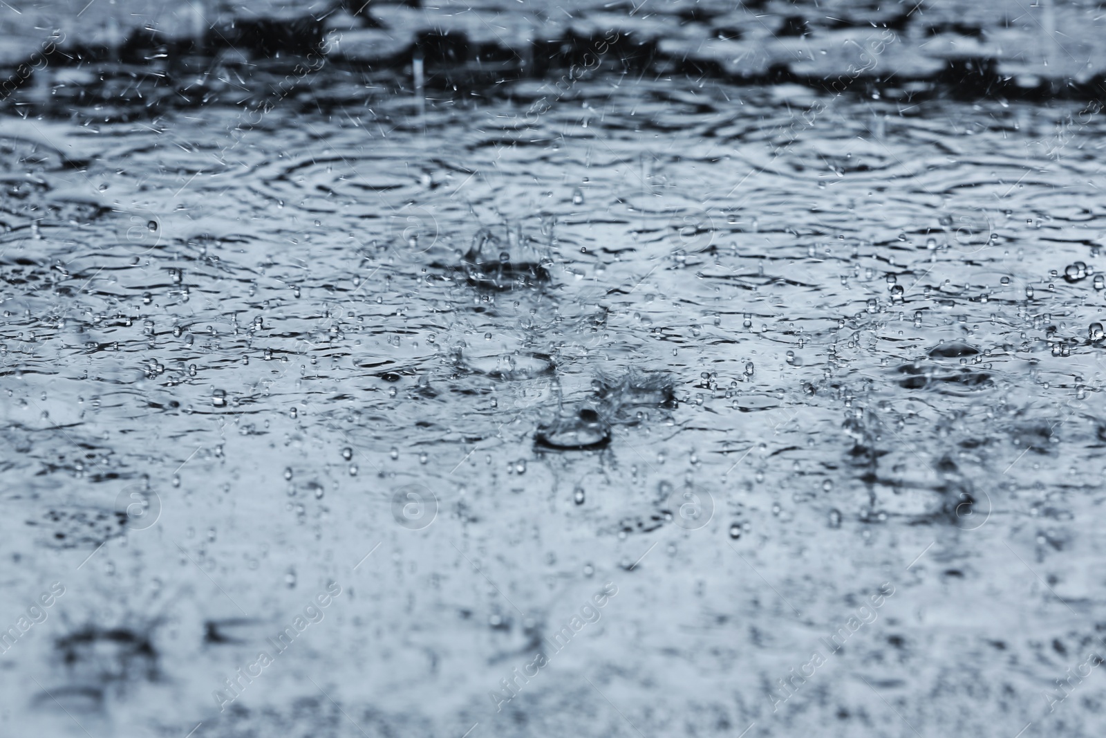 Photo of Heavy rain falling down into puddle outdoors